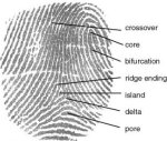 fingerprint_definition