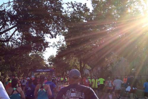 Sunbeams light the way, as the marathon and half marathon split at mile eight.